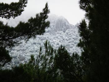 Chios Nature photography competition 2012